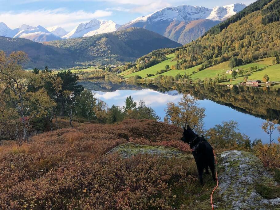 Aurdalsvegen 95 Rom Appartement Aure  Buitenkant foto